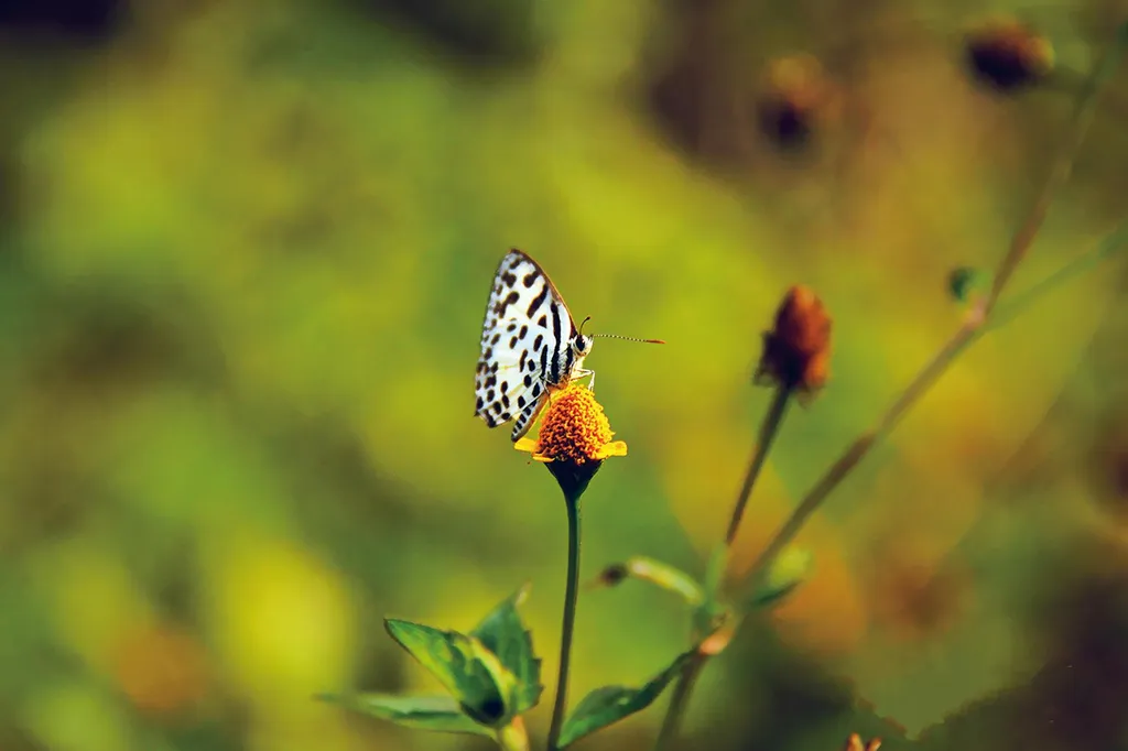 vie-dappartement-bruyante